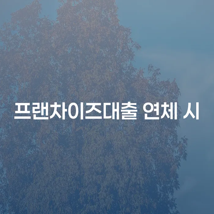 면책결정문 개인회생으로 해결방법 채무조정제도를 이용