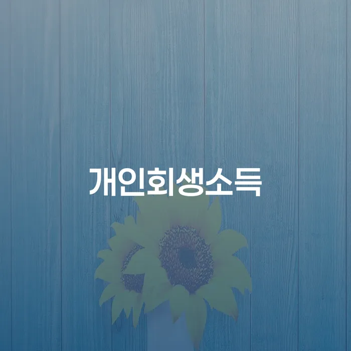 개인회생 개인회생으로 해결 신속하게