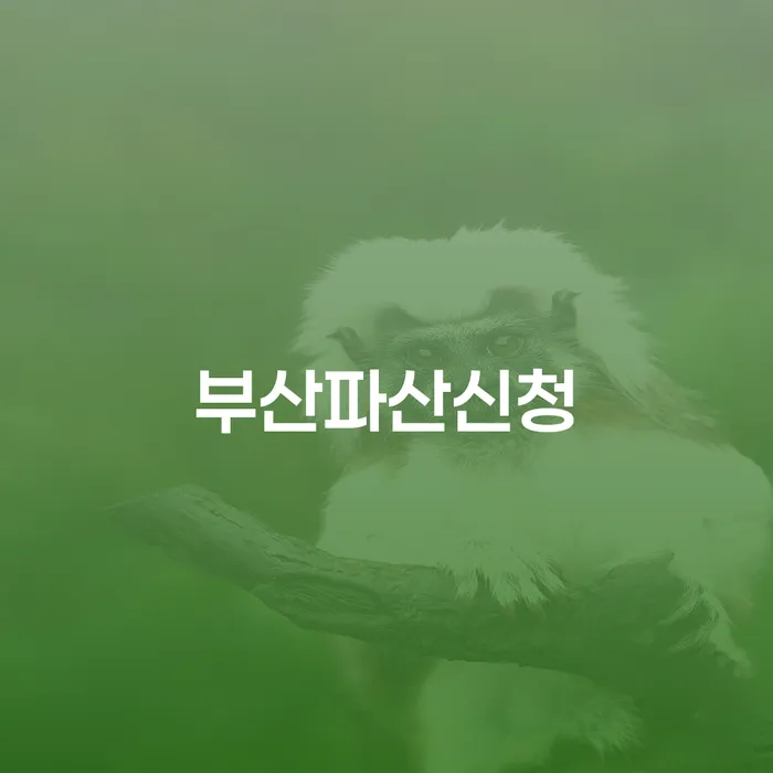 김포시 개인회생및파산 개인회생 처리방법 면책받고