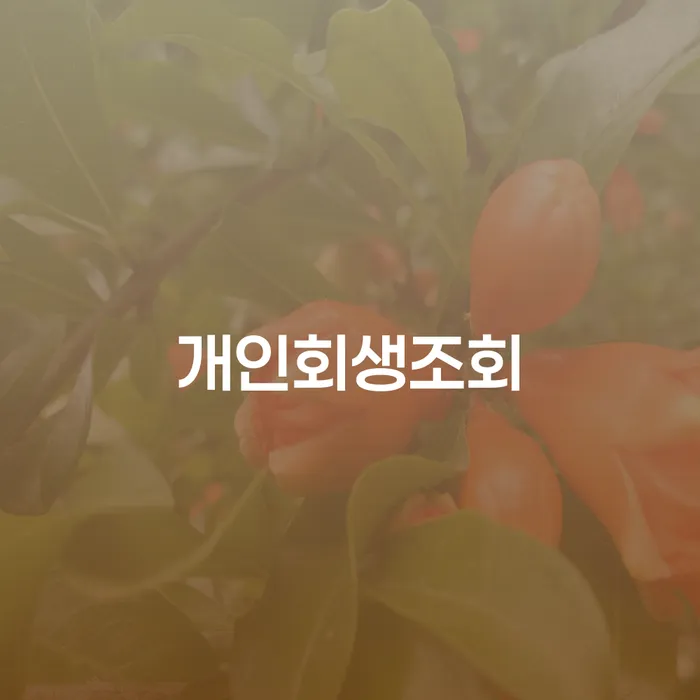 여수시 개인회생사무실 채무조정제도을 이용하여 해결 방법 알려드려요.