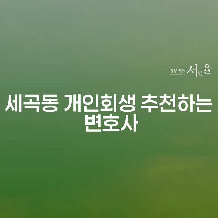 세곡동 개인회생 추천하는 변호사