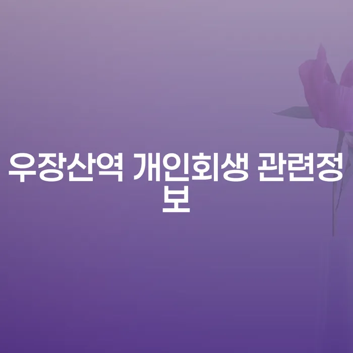 우장산역 개인회생 관련정보