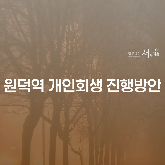 원덕역 개인회생 진행방안