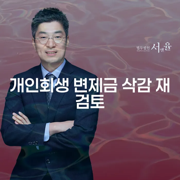 개인회생 변제금 삭감 재검토, 어떻게 하면 성공할 수 있을까요?
