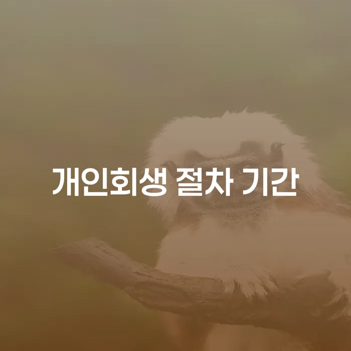 개인회생 절차 기간은 얼마나 걸리나요?