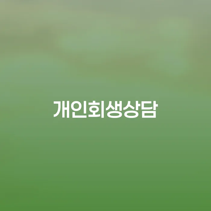 노량진1동 개인회생상담을 통한 경제적 재기의 길