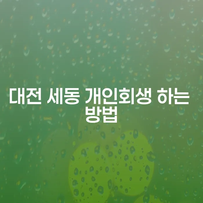 대전 세동에서 개인회생을 효과적으로 진행하는 방법은?