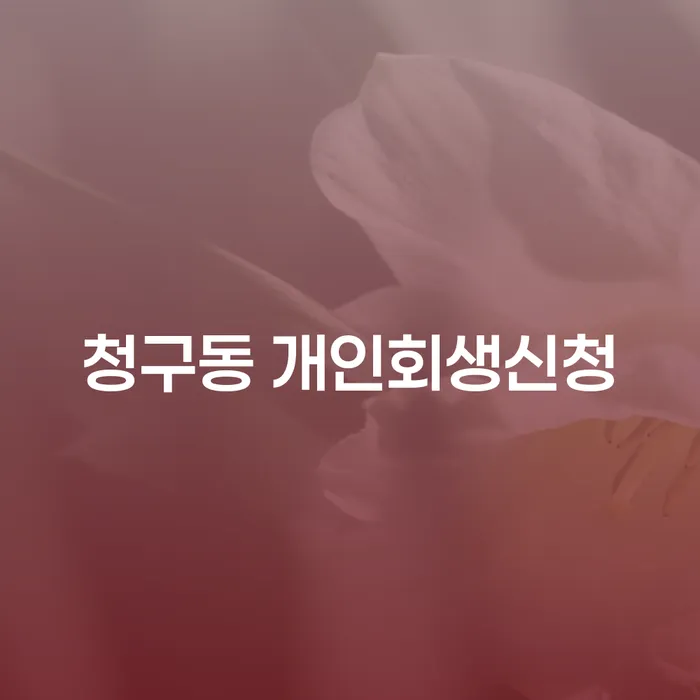 청구동 개인회생신청, 이제는 고민하지 마세요: 채무 해결의 첫걸음