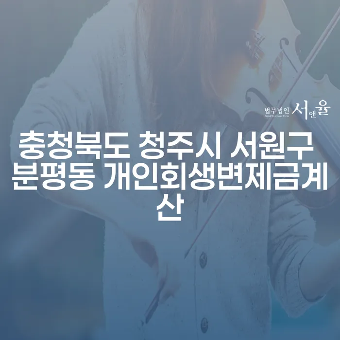 충청북도 청주시 서원구 분평동 개인회생변제금계산, 어디서부터 시작해야 할까요?