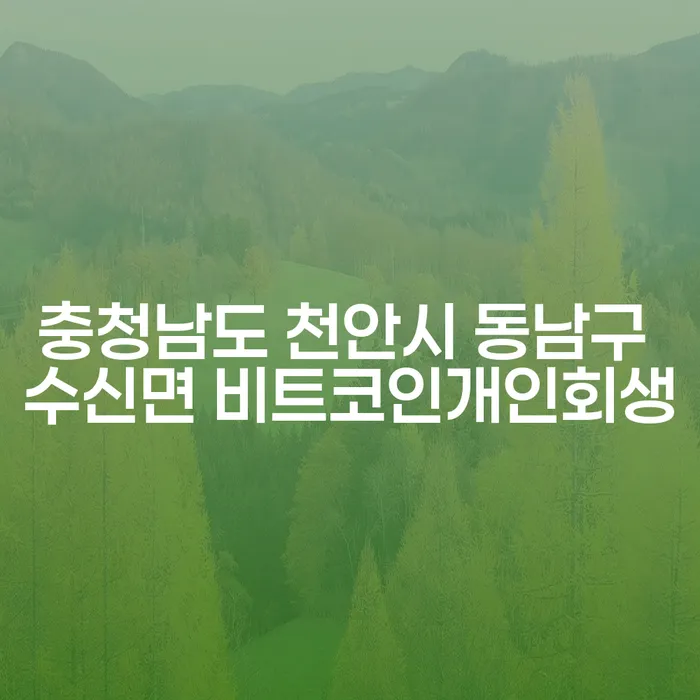 충청남도 천안시 동남구 수신면에서 비트코인 개인회생을 어떻게 신청할 수 있을까요?