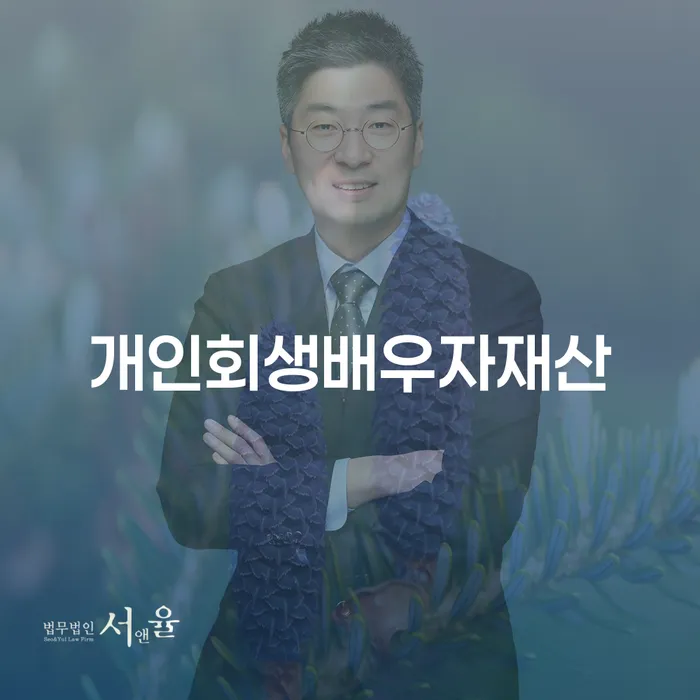 개인회생 시 배우자 재산은 어떻게 처리되나요?