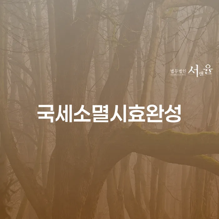 국세소멸시효완성과 개인회생 항고장: 채무 문제 해결을 위한 핵심 정보