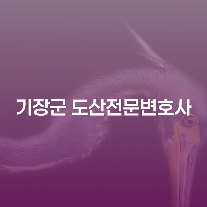기장군 도산전문변호사와 개인회생면책후 재신청기간에 대해 알고 계신가요?